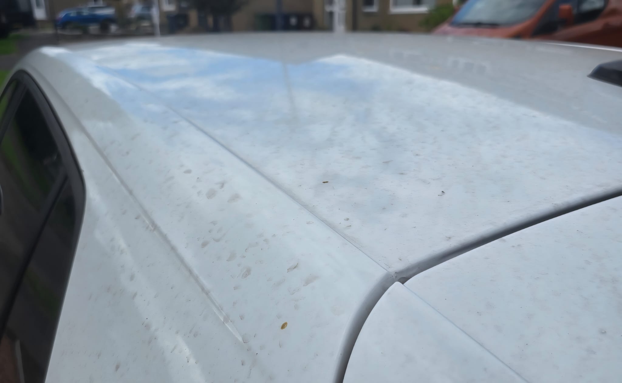 Professional car detailing